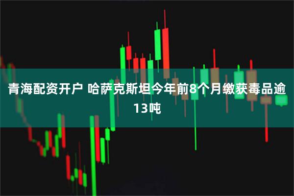 青海配资开户 哈萨克斯坦今年前8个月缴获毒品逾13吨