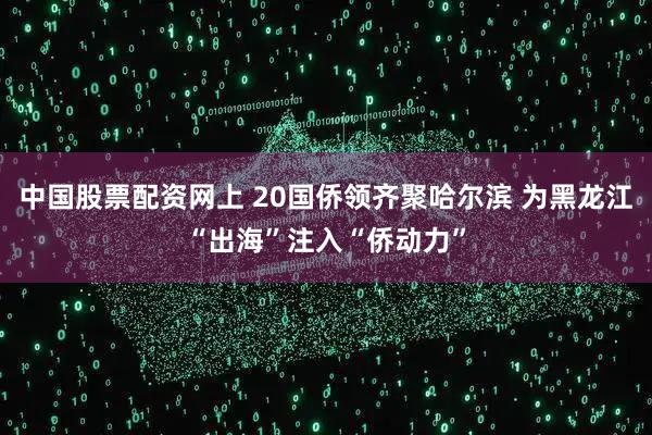 中国股票配资网上 20国侨领齐聚哈尔滨 为黑龙江“出海”注入“侨动力”
